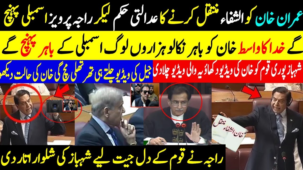 عمران خان کو الشفاء منتقل کرنے کا عدالتی حکم لیکر راجہ پرویز اسمبلی پہنچگے خدا کا واسط خان کو باہر 