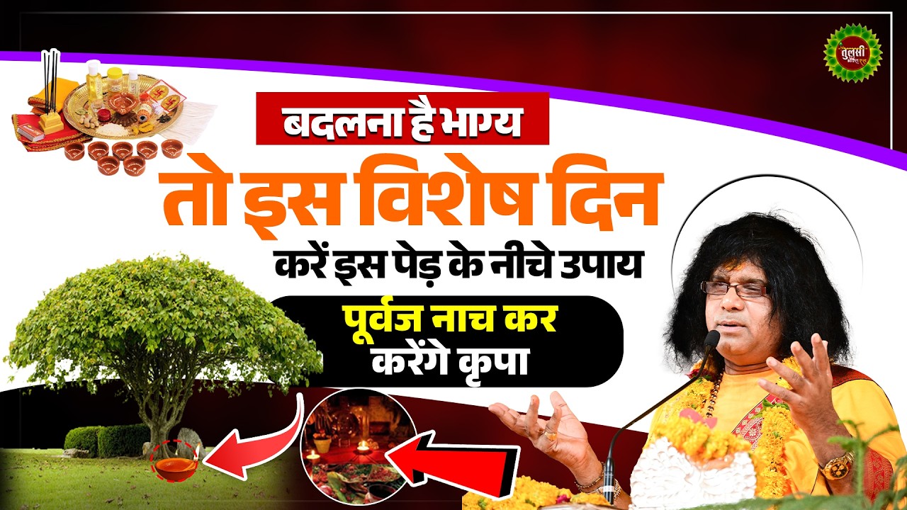 बदलना है भाग्य ! तो इस विशेष दिन करें इस पेड़ के नीचे उपाय, पूर्वज नाच कर करेंगे कृपा