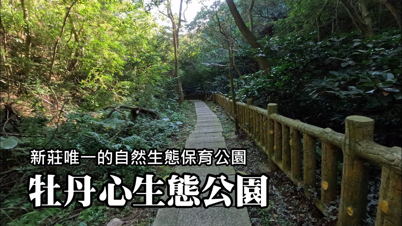 搭捷運去踏青！新莊唯一的自然生態公園～牡丹心生態公園，輕鬆環狀健行路線！