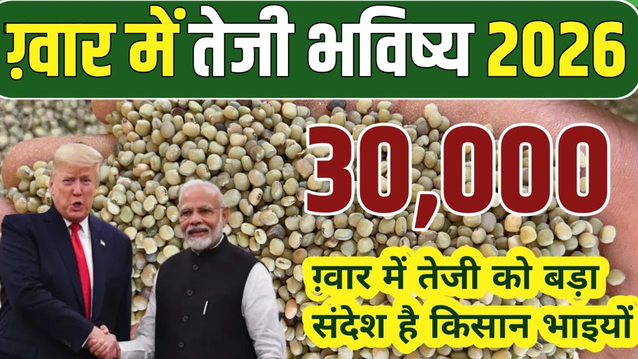 Will guar prices cross 30,000 again? How long should guar prices be held back? Guar's Rise and Fa...