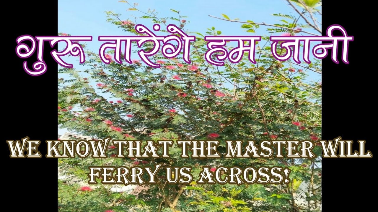 गुरु तारेंगे-श्री हुज़ूर स्वामी जी महाराज|Guru Tarenge Hum Jaani(With Lyrics TRANSLATION)-RSSB Shabad