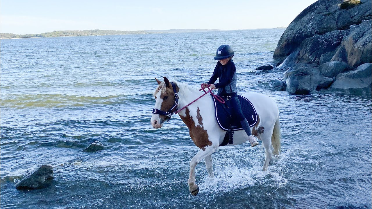 Chloe rider Beccis & Hailey rider Dolly med grimma och grimskaft i havet - VLOGG