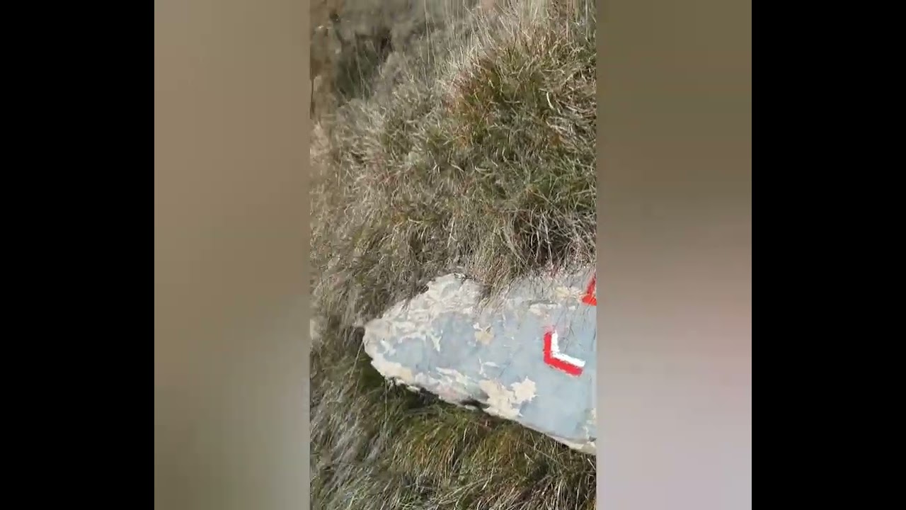 Escursione: Pieve Ligure, monte Santa Croce, monte Castelletti, monte Cordona, Nervi. 