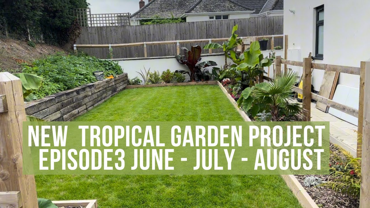 New tropical garden project || episode 3 - June / July / August