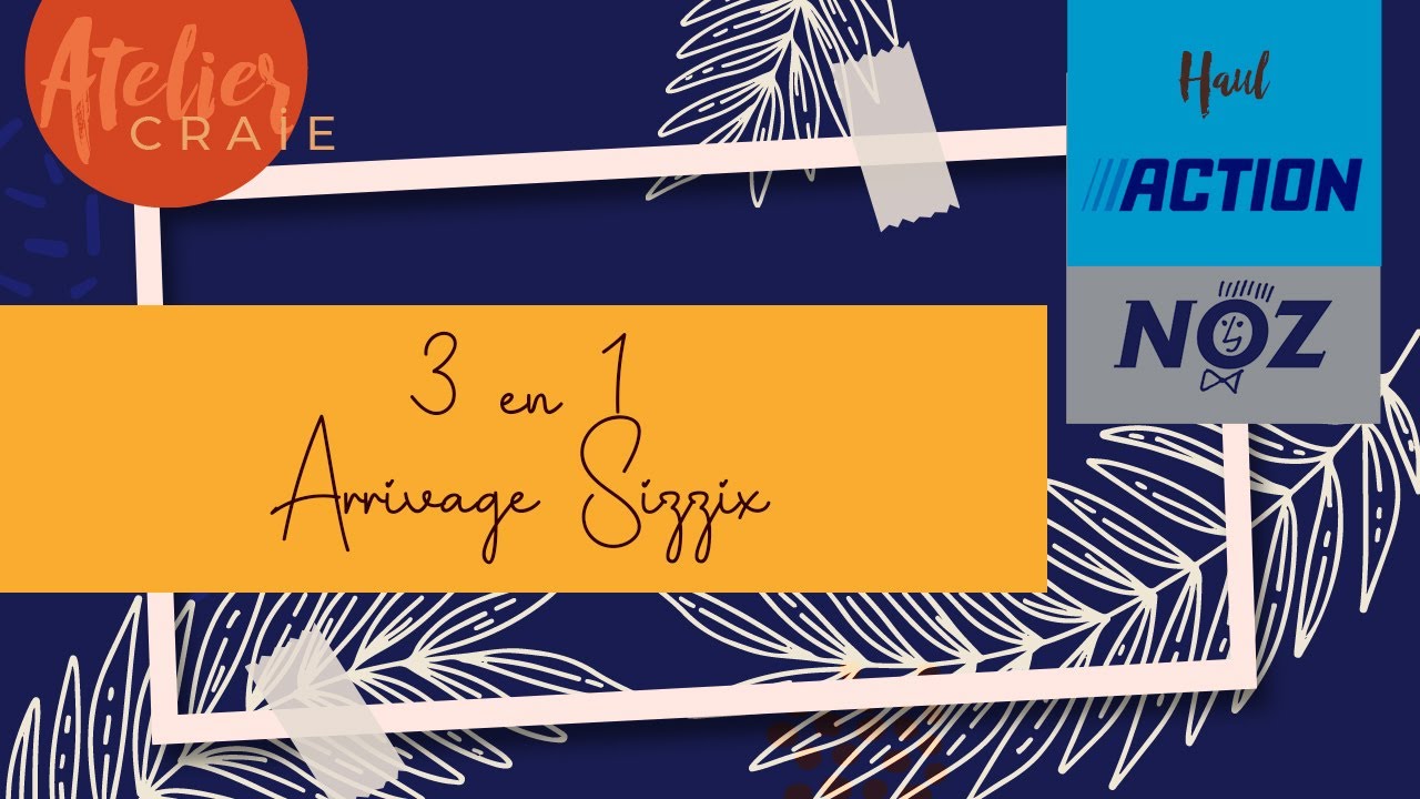 3 en 1 | Haul Noz et Action | Arrivage Sizzix Auray