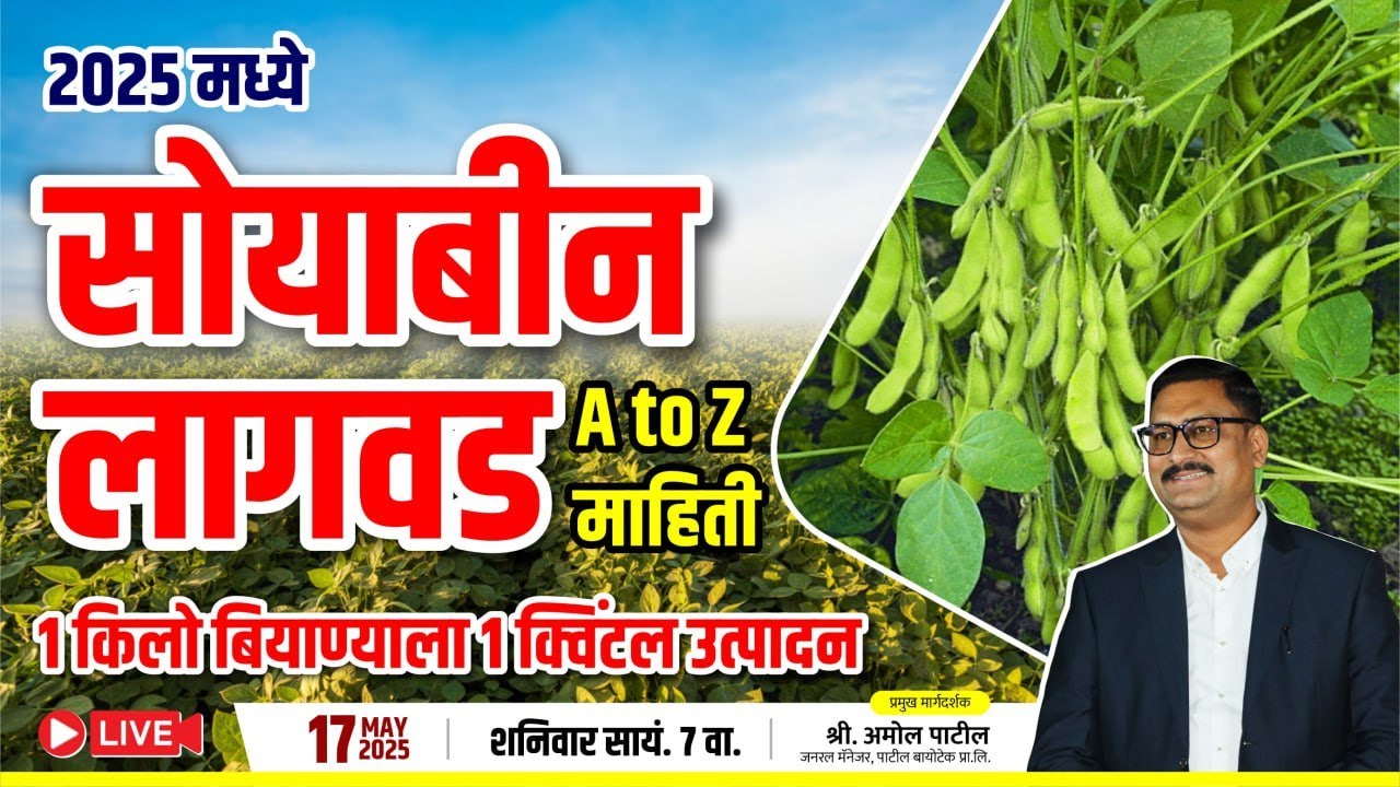 सोयाबीन लागवड A to Z माहिती  soyabean lagwad mahiti
