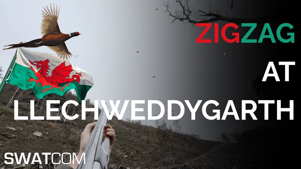 ZigZag at Llechweddygarth!