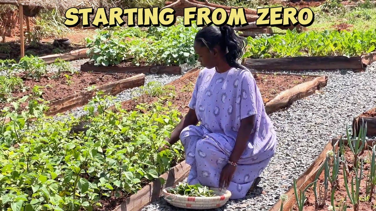 The Truth About Slow Living | Why We’re Taking Our Time Starting This African Homestead