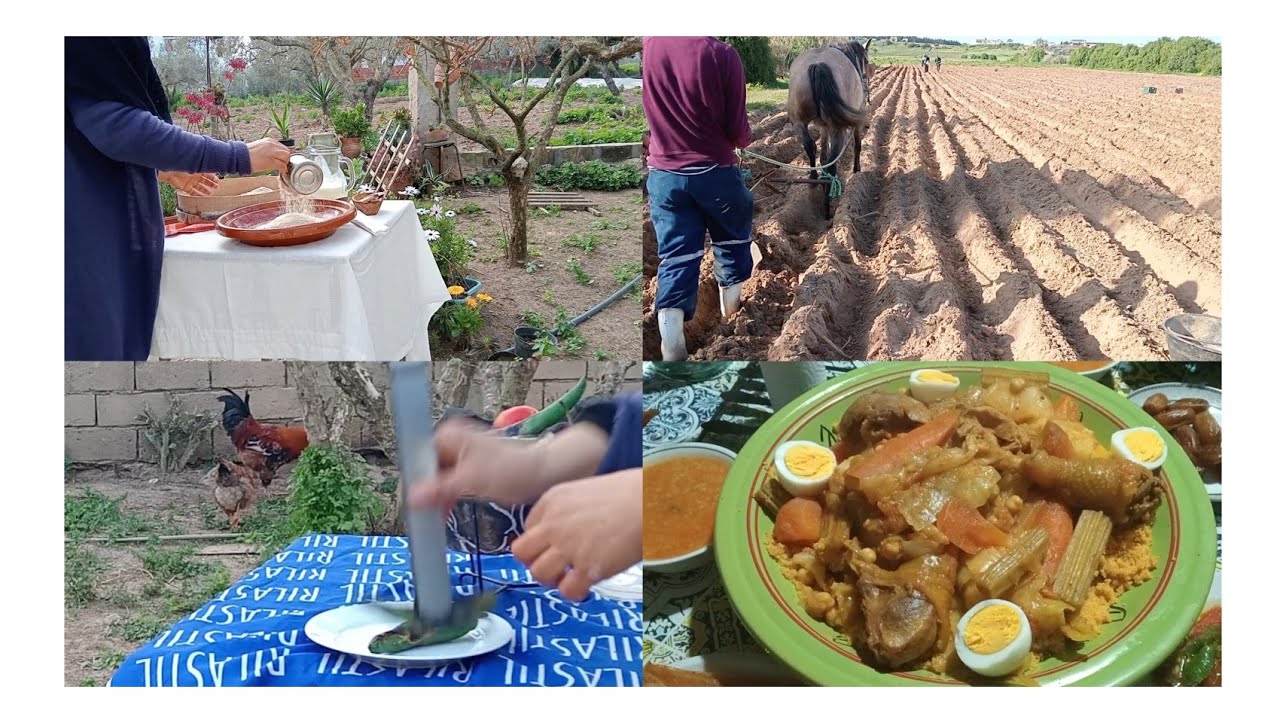 أجواء رمضان في الريف التونسي/كسكسي بالدجاج العربي/خبز قمح في الفور/بداية موسم زراعةالبطاطا الصيفيه