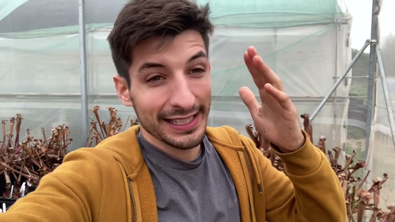 Riega ASÍ tus CARNÍVORAS en el exterior 🌱💧