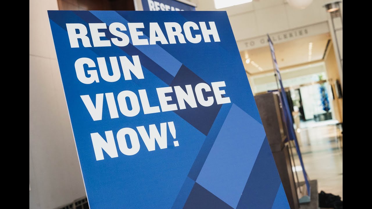 Research Gun Violence Now