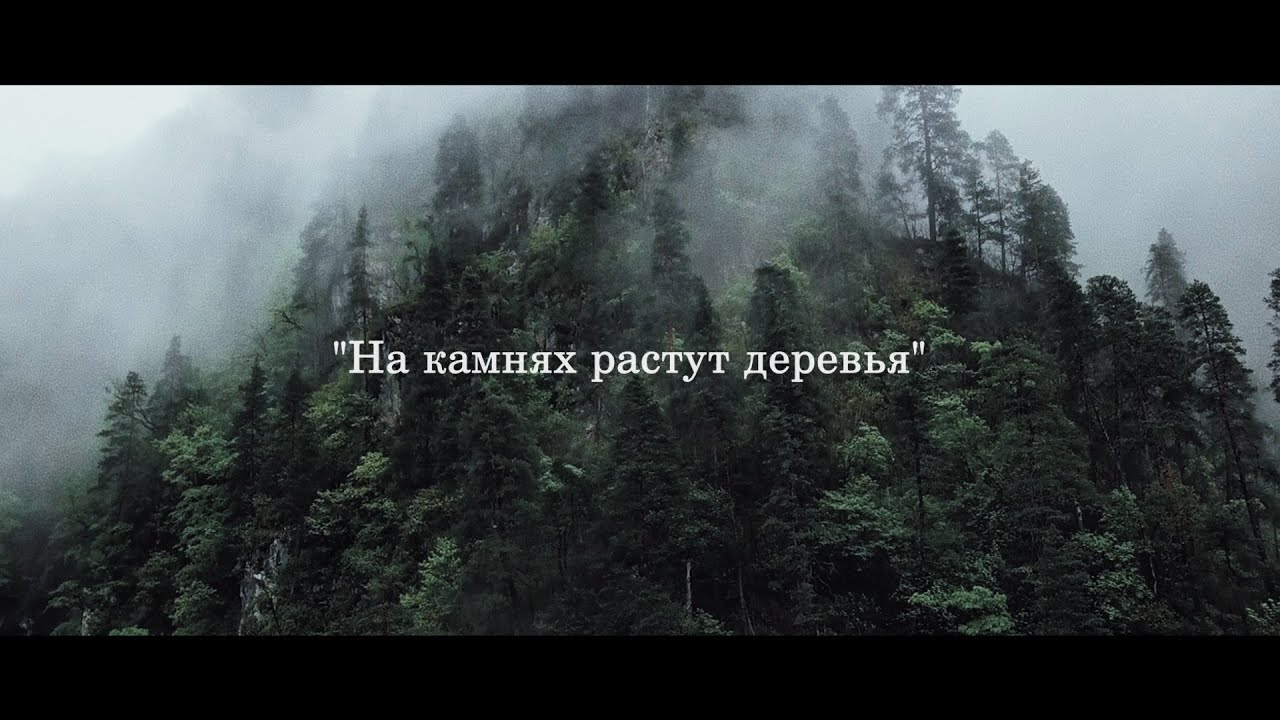 Вольгаст   