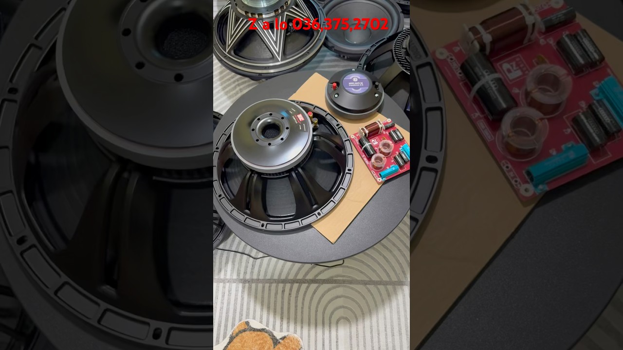 Combo loa bass 40 nr335, chơi s&acirc;n vườn cực hay #loa #karaoke #xuhuong #sukien