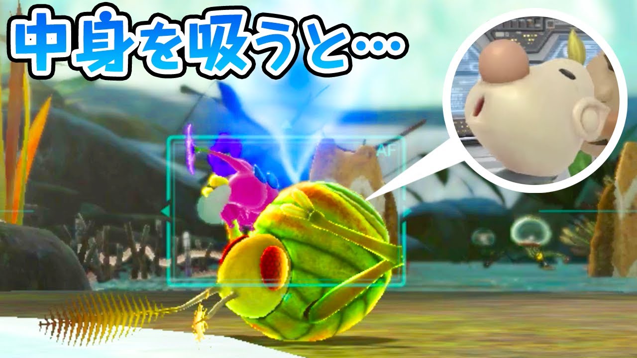 ピクミンの謎多きイライラ生物のお腹に穴を開けて中身を吸うと…【サライムシの食べ方と謎の生態】