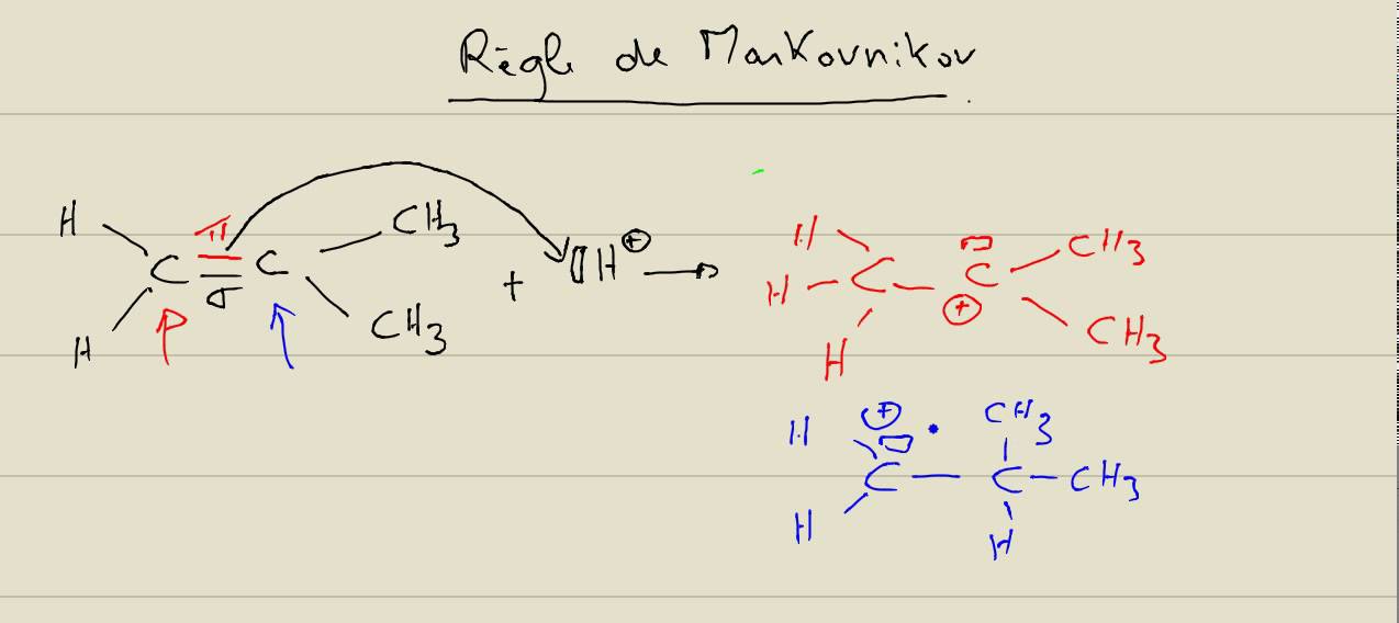Alc&egrave;nes R&egrave;gle de Markovnikov