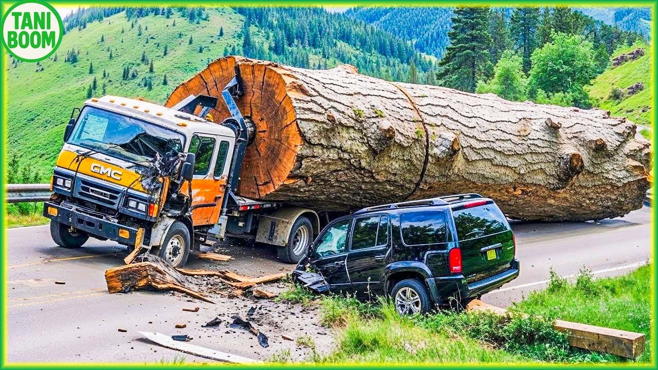 Operasi Keterampilan Transportasi Ekstrim Berbahaya Car Crusher | Teknologi Pertanian