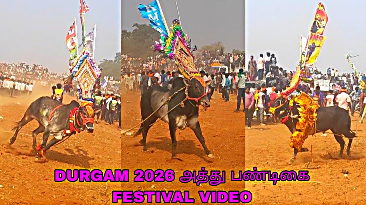  DURGAM 2026 அத்து பண்டிகை FESTIVAL VIDEO @bulletrani8271   