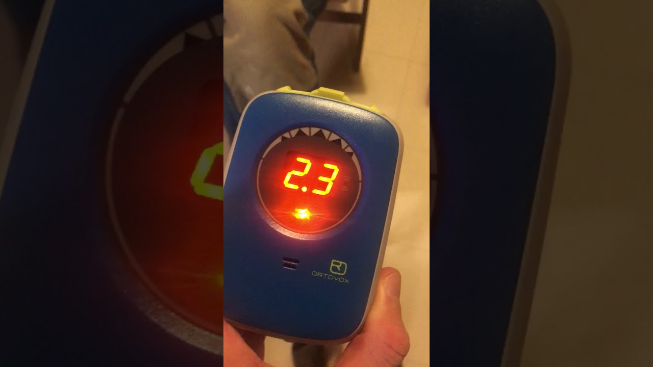 Ortovox Zoom + transceiver acting strangely