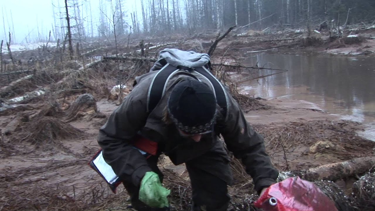 Stalkers in Talvivaara zone