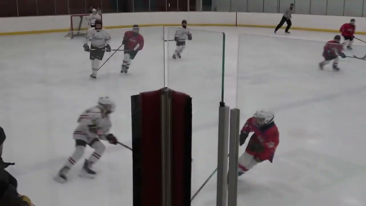 DL PeeWee B vs Moose Lake 1 24 2026