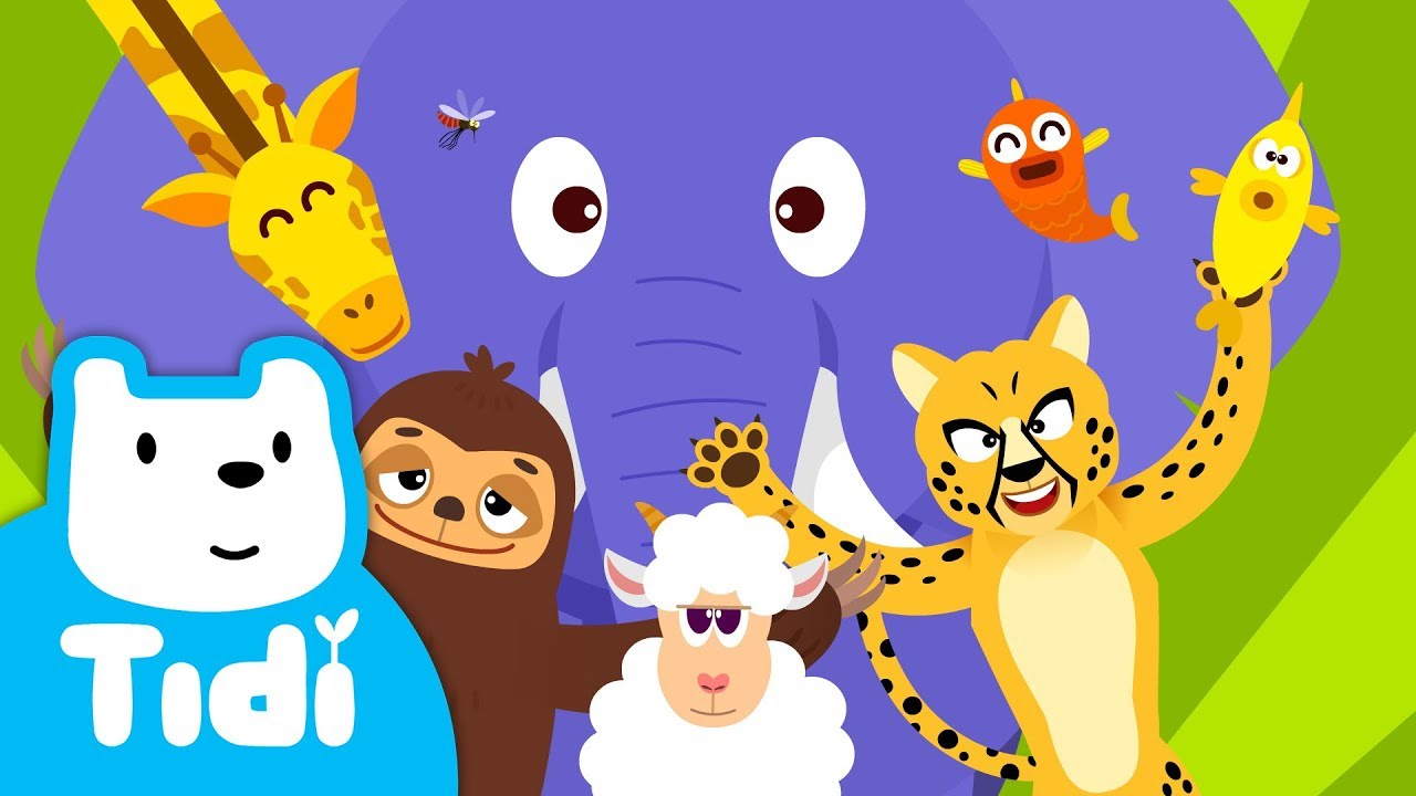 Opposite Song ♪ Cheetah vs Sloth Eleplant vs Mosquitoe Giraffe vs Sheep | Animal Songs | TidiKids