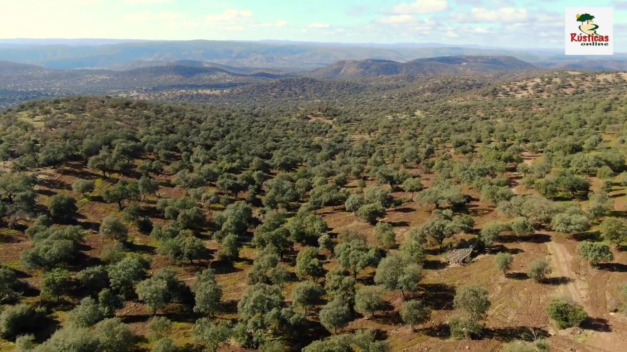 Finca Rústica Dehesa 515 ha en Córdoba