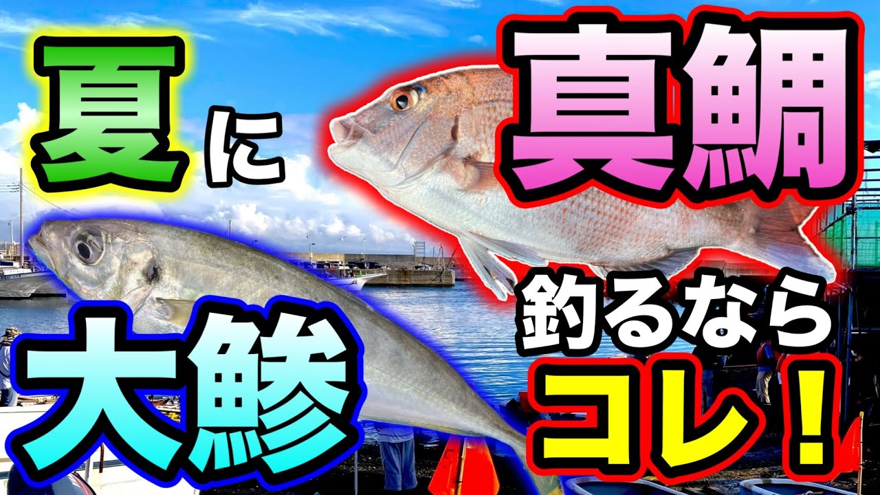 【手漕ぎボート釣り】夏の攻略方法！大アジ、真鯛を釣るならこれ！＠横須賀市大津港石田丸