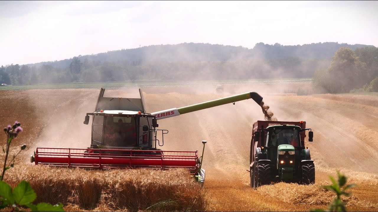 Žně 2024 - Ječmen | Claas Lexion 6600 & 6700, JCB, John Deere / HD