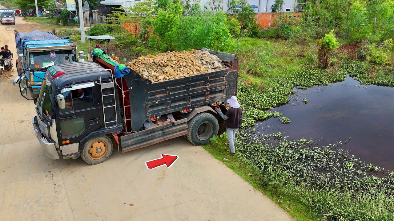 Incredible Starting New Landfill Job! Using Dump Truck 5Ton & Dozer Push Soil Land Flooded, Mix VDO