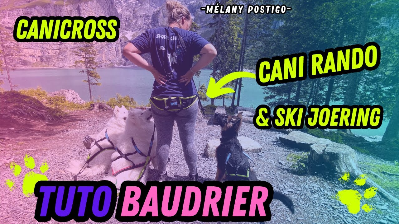 Comment mettre un baudrier pour partir à l'aventure avec ton chien