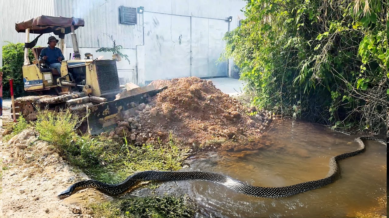 Started working on a project. Up Dozer Komatsu D-20-P pushes rocks and soil into the water.