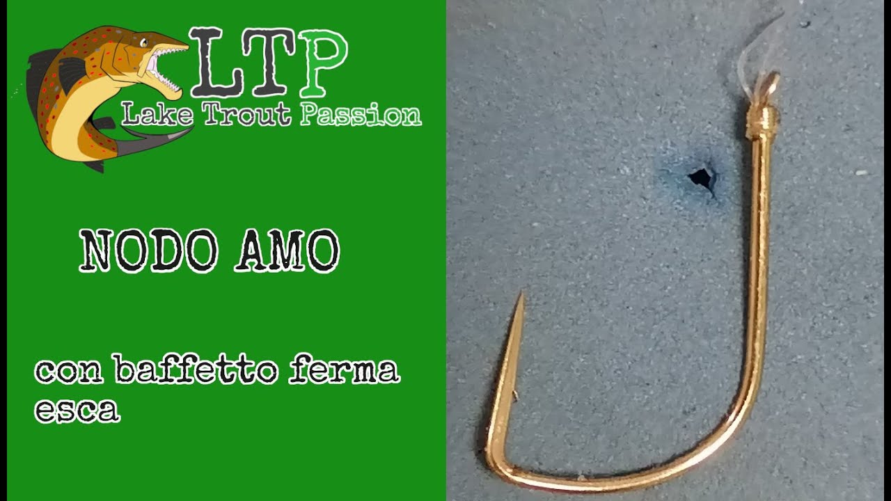 Trota lago - Nodo per amo