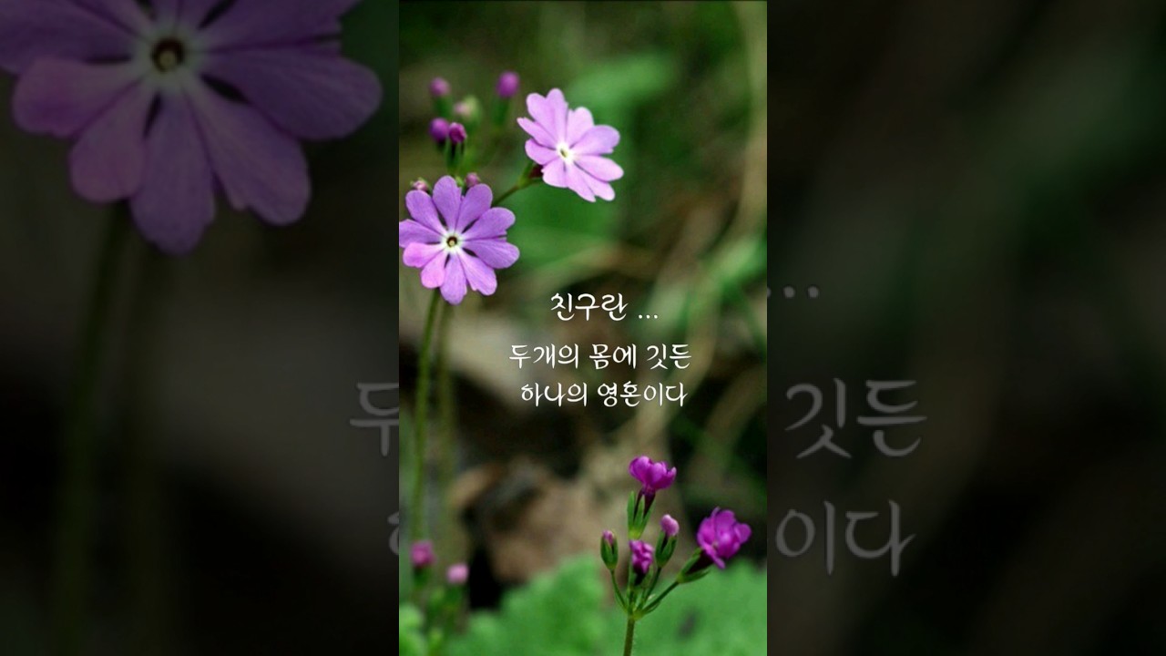 #동행 #임영웅 #토요일 아침인사 이미지