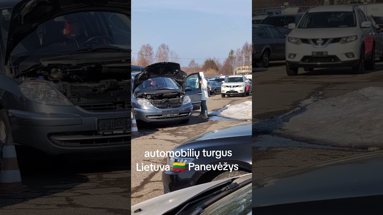 Активность на автомобильных рынках Литвы #lietuva🇱🇹 #литва🇱🇹 #tik_tok #europa🇪🇺
