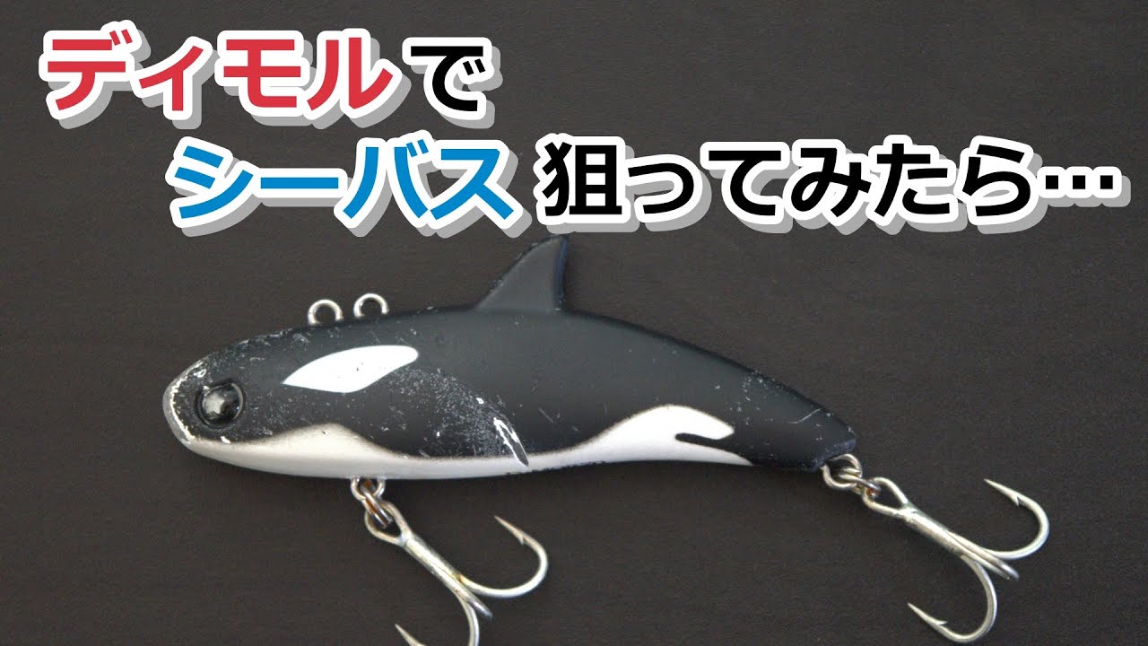 ディモル(DIMOR)でシーバス狙ってみたら…【2024年9月5日】