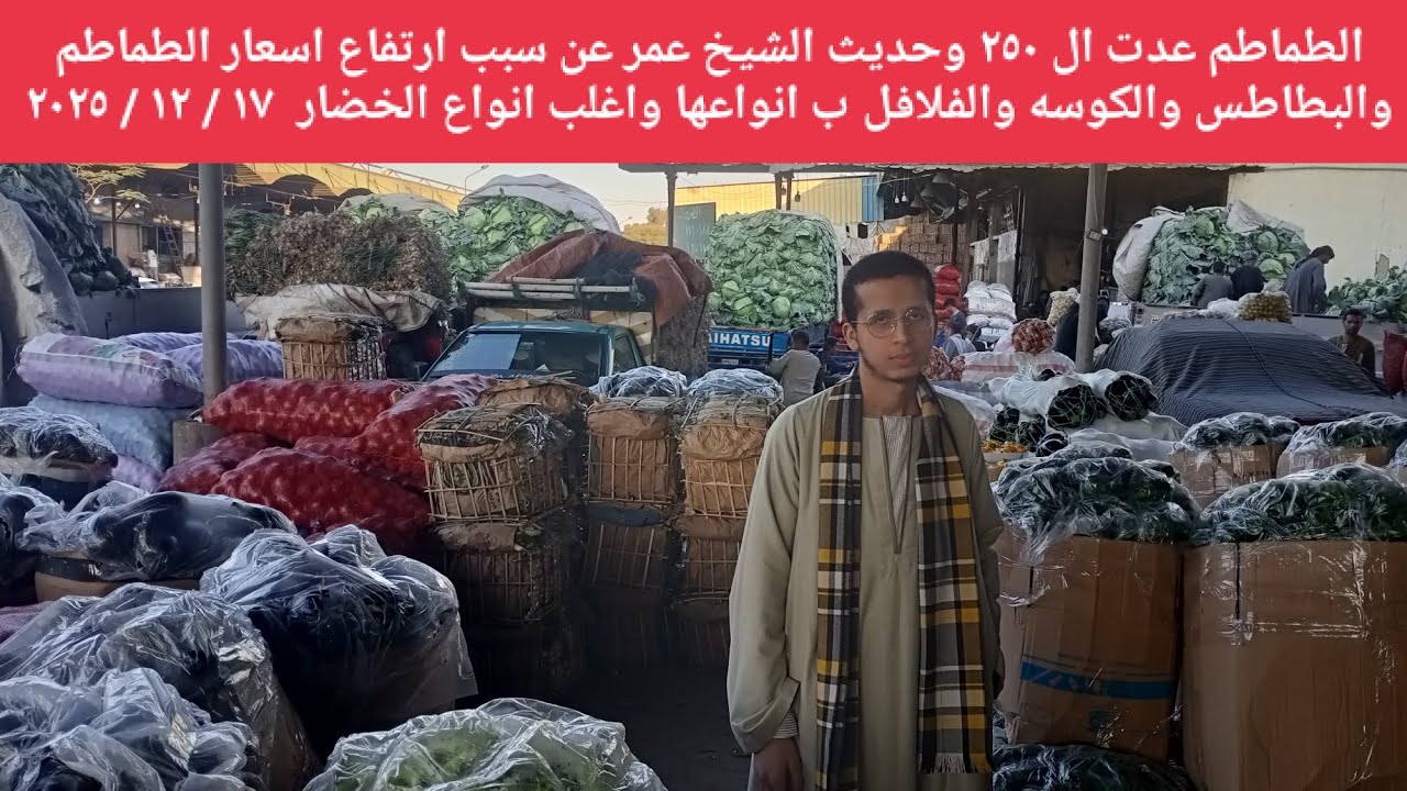 الطماطم عدت ال ٢٥٠ وحديث الشيخ عمر عن سبب ارتفاع اسعار الطماطم والبطاطس والكوسه والفلافل ب انواعها 