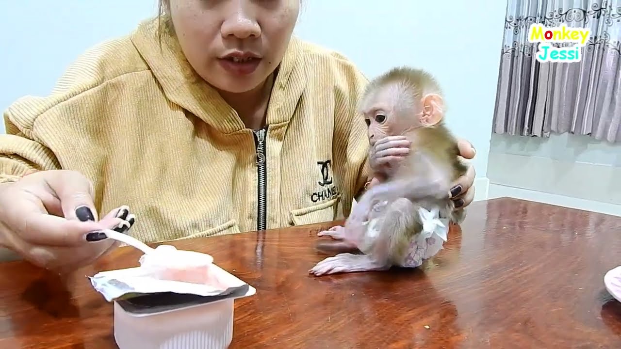 JULIE C-----  ry Out Loud Like Baby Bird To Ask Mom For More Food.