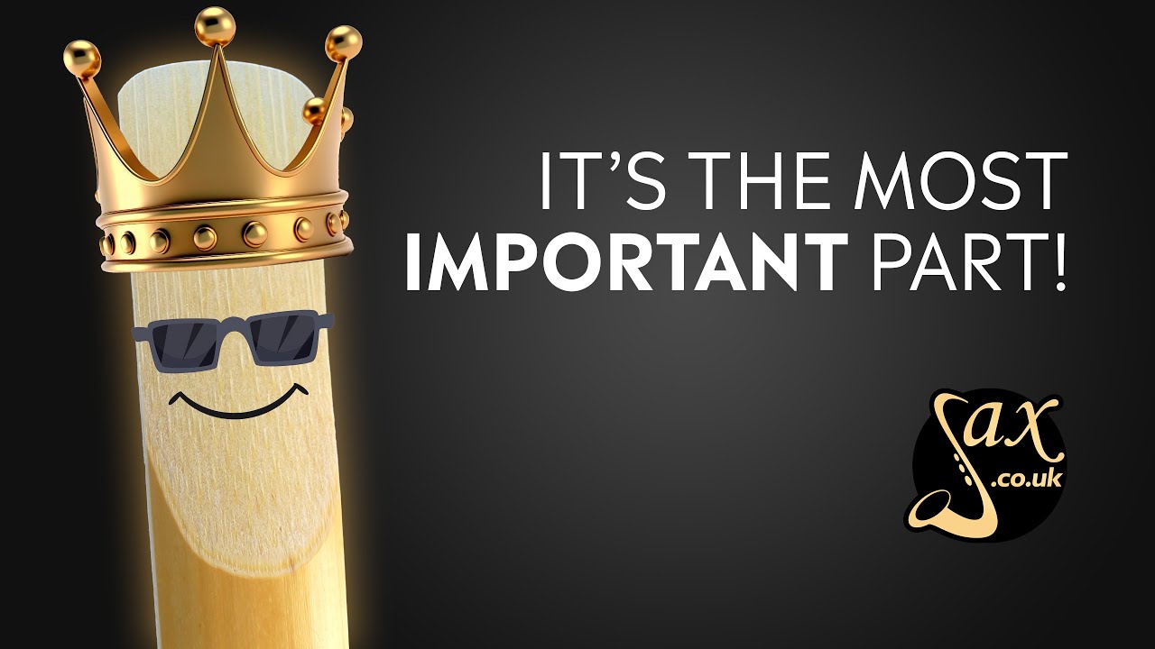 The Saxophone Reed Explained