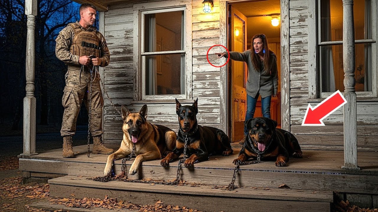 A Marine Returned Home to Find His 3 Dogs Shivering on the Porch — What He Found Left Him in Tears
