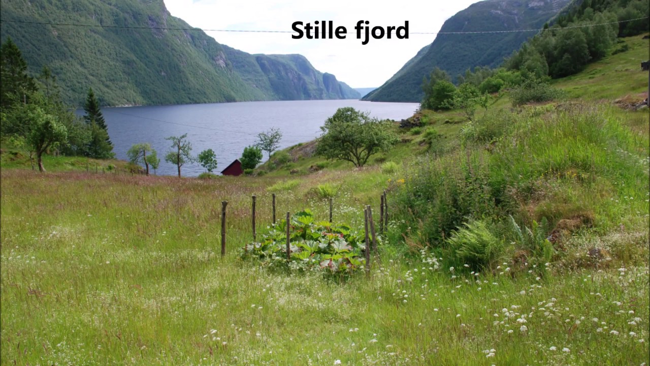 Stille fjord