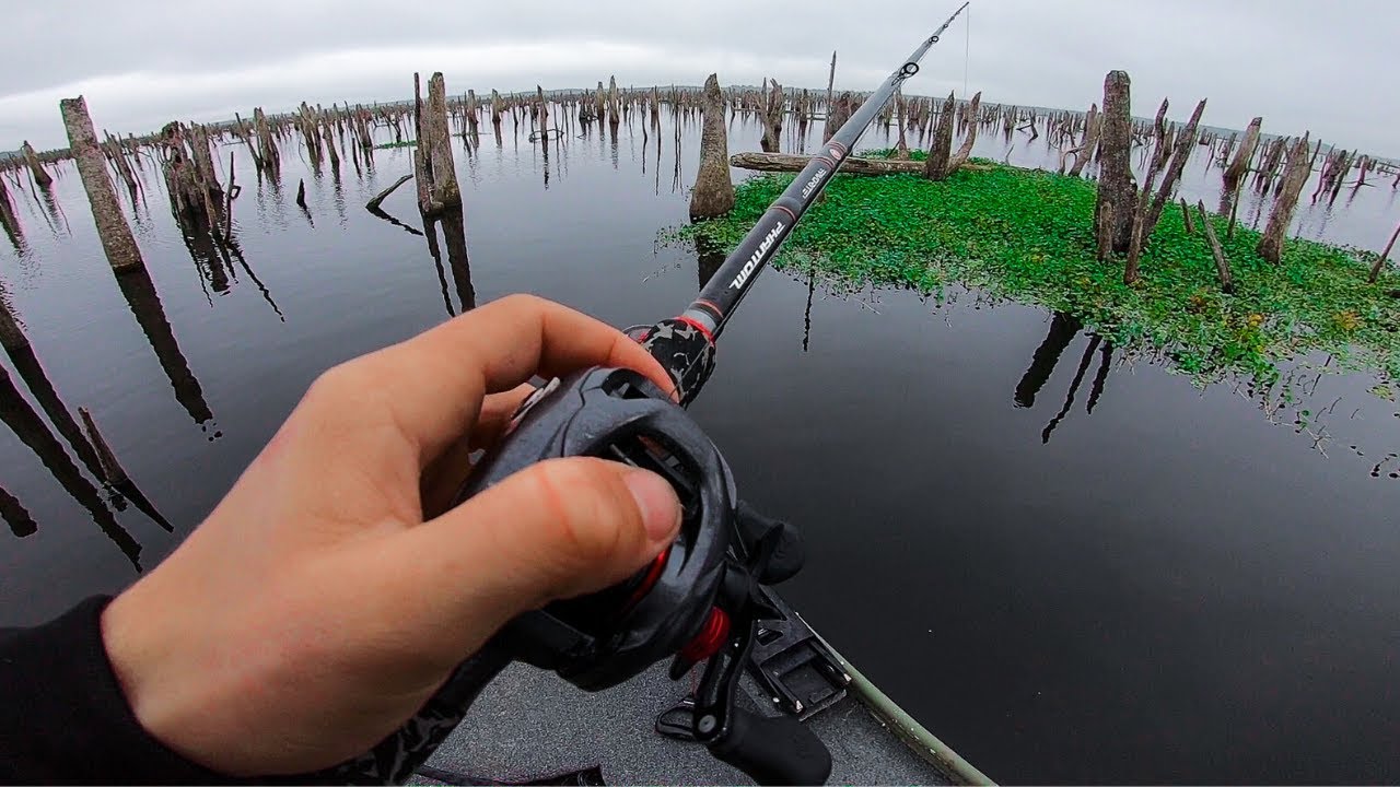Taking A Gamble & Fishing DEEP In Standing Timber Where Bass Boats Can't Go