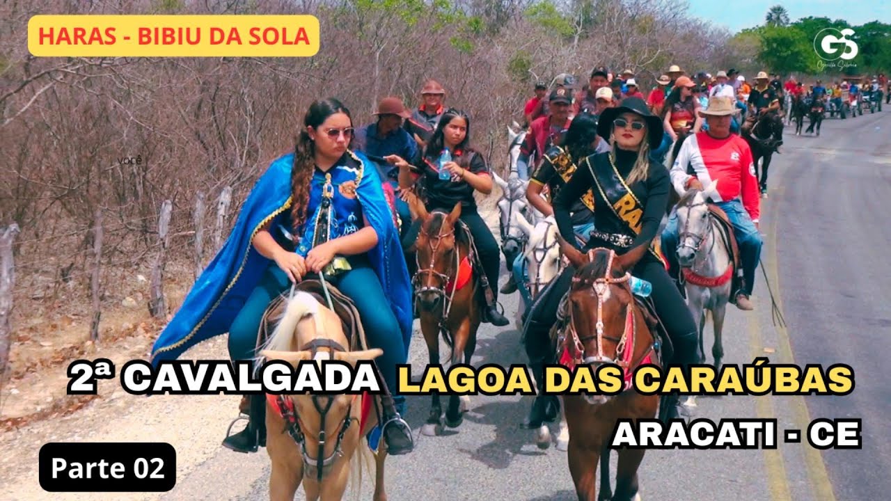 Gecilio Silvério Cobertura - 2ª Cavalgada da Lagoa das Caraúbas Haras Bibiu da Sola, Aracati. Par 02