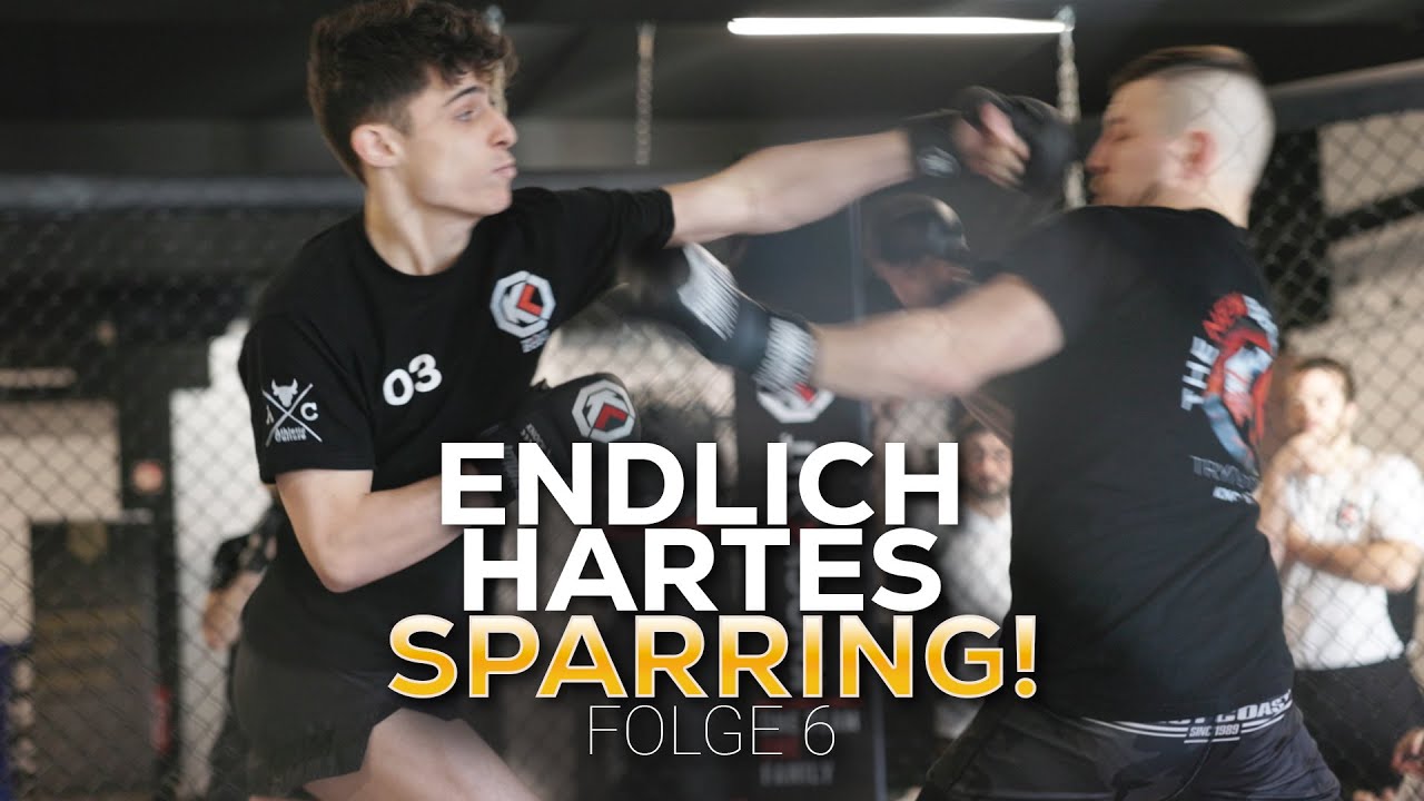 KNOCKOUT TRYOUTS 2024: Endlich hartes SPARRING! | Folge 6