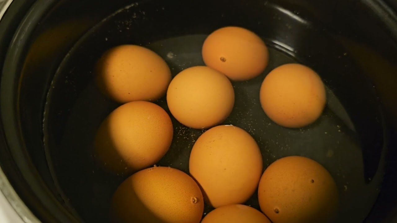 Kako skuvati kvalitetno kokosije jaje! Brza i laka procedura.