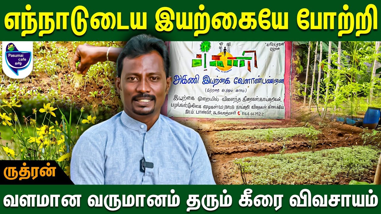 இந்திய பயணத்தில் நான் கற்றுக்கொண்டது இதுதான் - ருத்ரன் | Organic Keerai farming #spinach #keerai