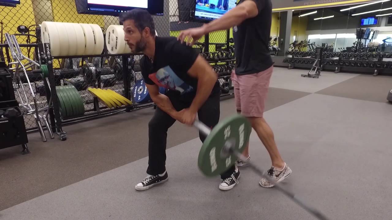 Landmine Rear Delt Building Row