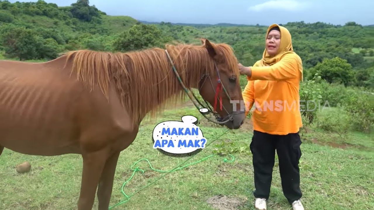 [FULL] RESEP MASAKAN SYEDAP ALA EMAK ENAH | ENAH BIKIN ENAK (14/10/25)