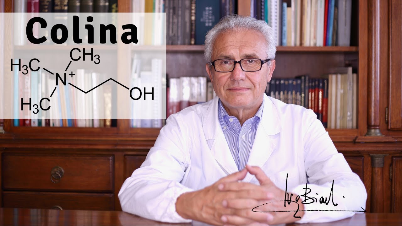 Colina per la Steatosi Epatica e per il Sistema Nervoso