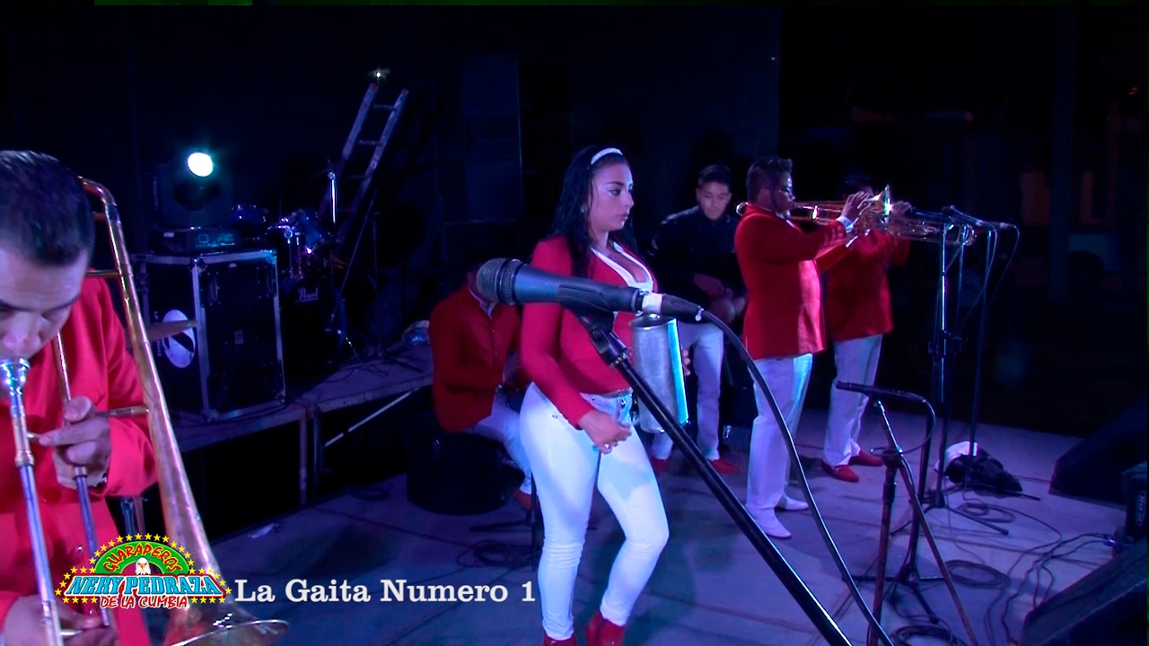 Nery Pedraza y los Guaraperos de la Cumbia 💥 La Gaita Numero 1