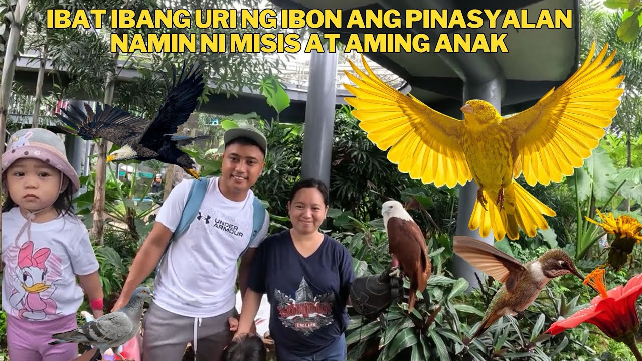 Enjoy Ang aming anak sa mga bird na Hindi pa nya nakikita